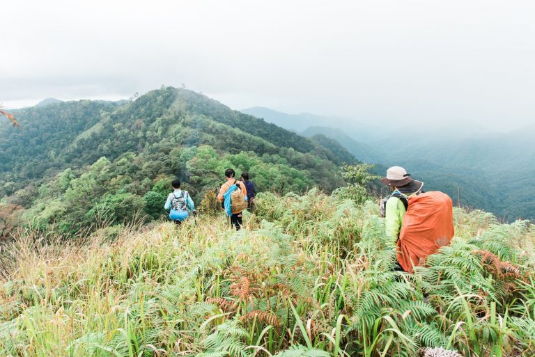 Trekking on tropical forrest